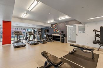 A gym with treadmills, weights, and exercise equipment.